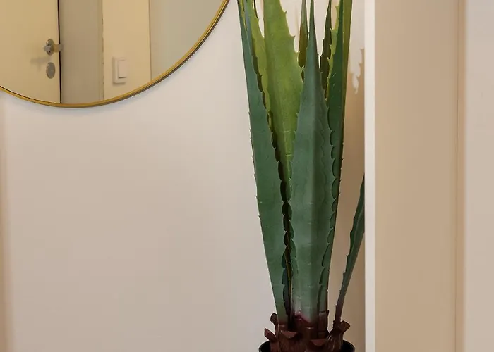 Haapala A11 * Rovaniemi